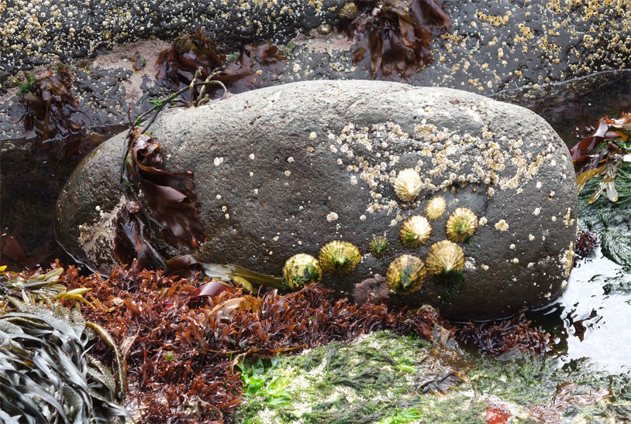 Am Strand auf den Färoer Island